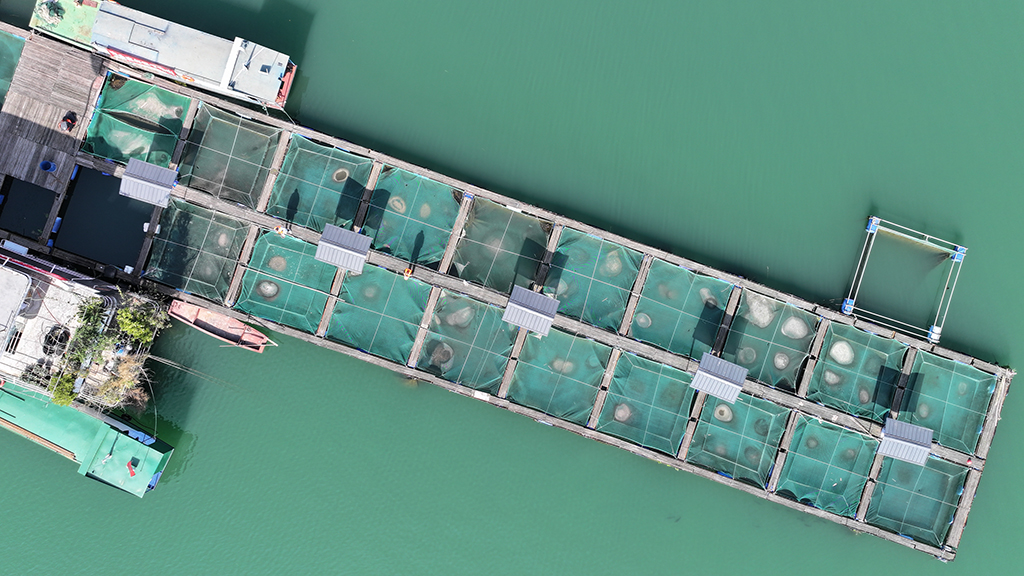 这是3月9日拍摄的重庆市万州区水产研究所大周基地（无人机照片）。