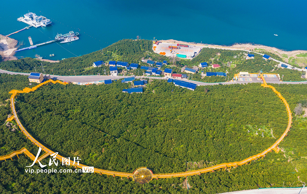 湖北秭归:春橙飘香助增收【6】