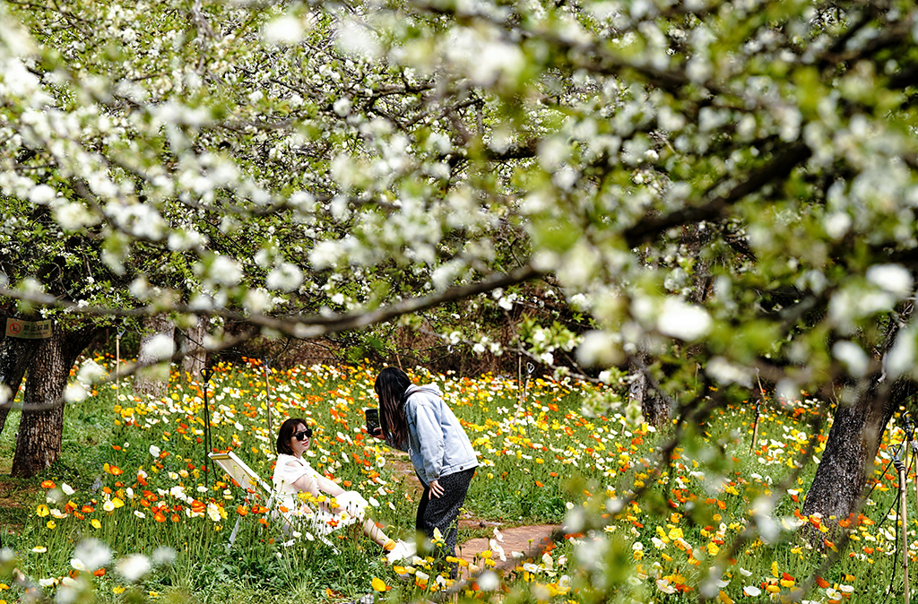3月10日，两名游客在昆明名花谷拍照休闲。