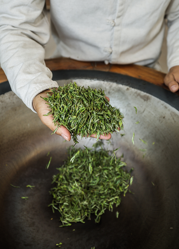 3月10日,金华市非物质文化遗产“武阳春雨制作技艺”代表性传承人、全国技术能手鲍王栋在炒制今年首批“武阳春雨”春茶。