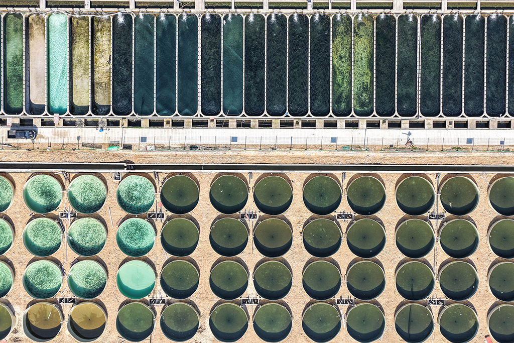 这是3月10日拍摄的贵州省岑巩县淡水渔业基地养殖场景（无人机照片）。