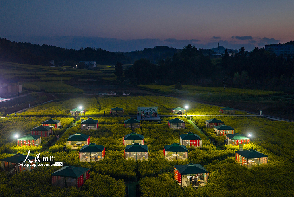 四川乐至:油菜花海中品火锅【3】