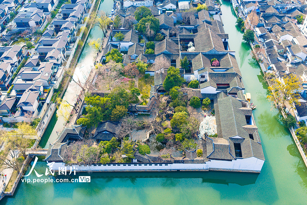 江苏苏州:耦园玉兰花盛开春色浓【7】