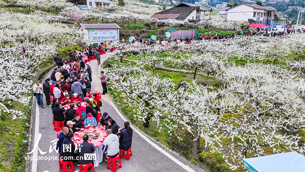 四川宣汉:以“花”为媒 乐游乡村【2】
