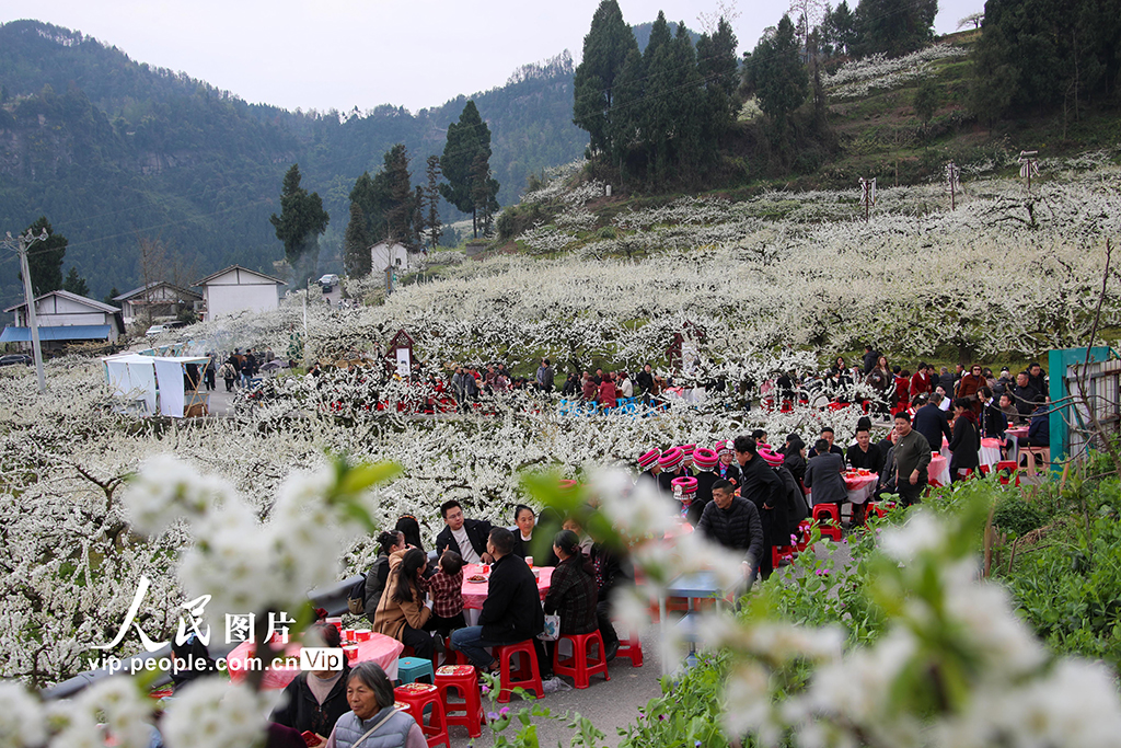 四川宣汉:以“花”为媒 乐游乡村【5】