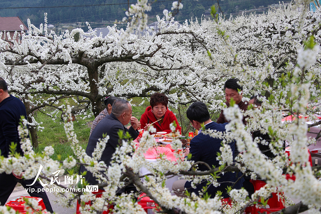 四川宣汉:以“花”为媒 乐游乡村【6】