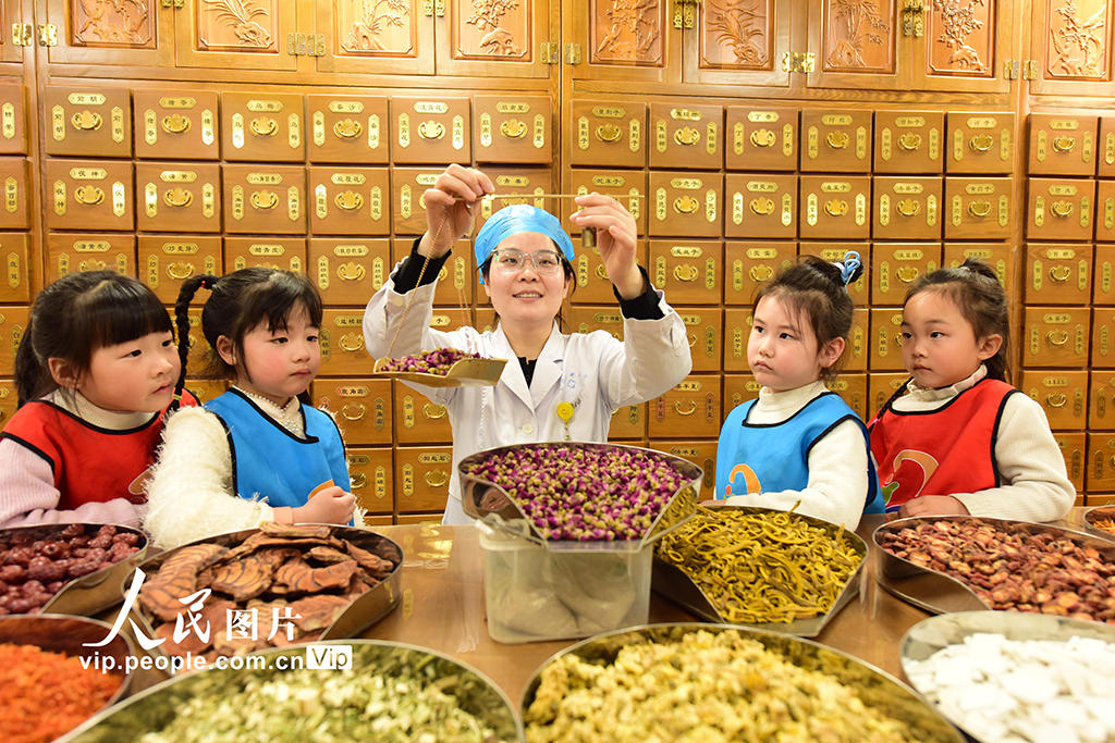 江苏东海:了解中医药知识【3】