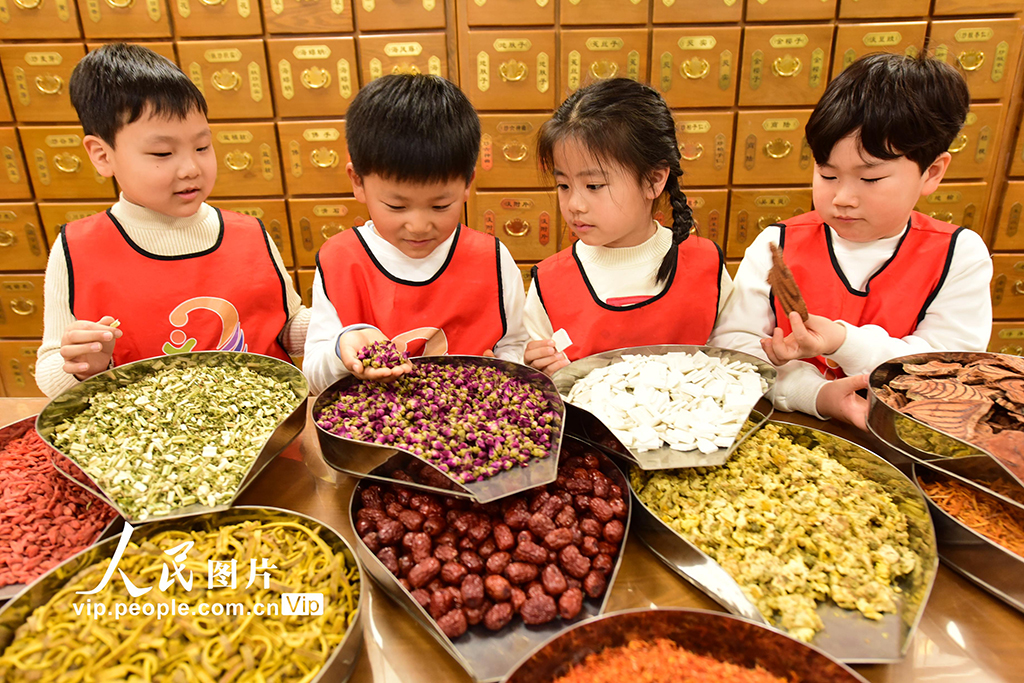 江苏东海：了解中医药知识【4】