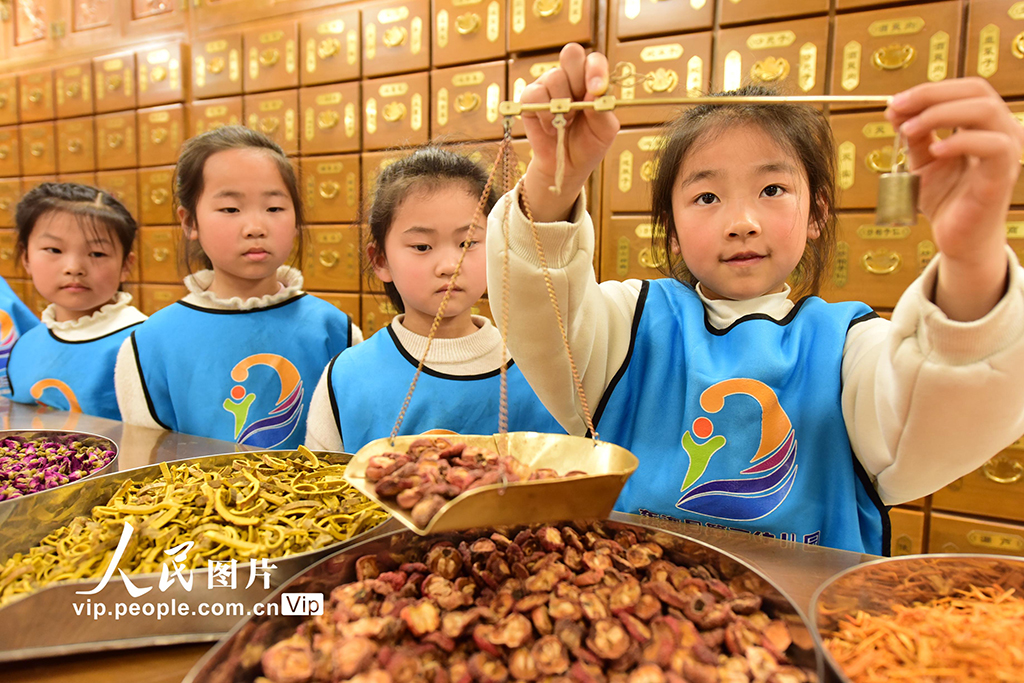 江苏东海：了解中医药知识【5】