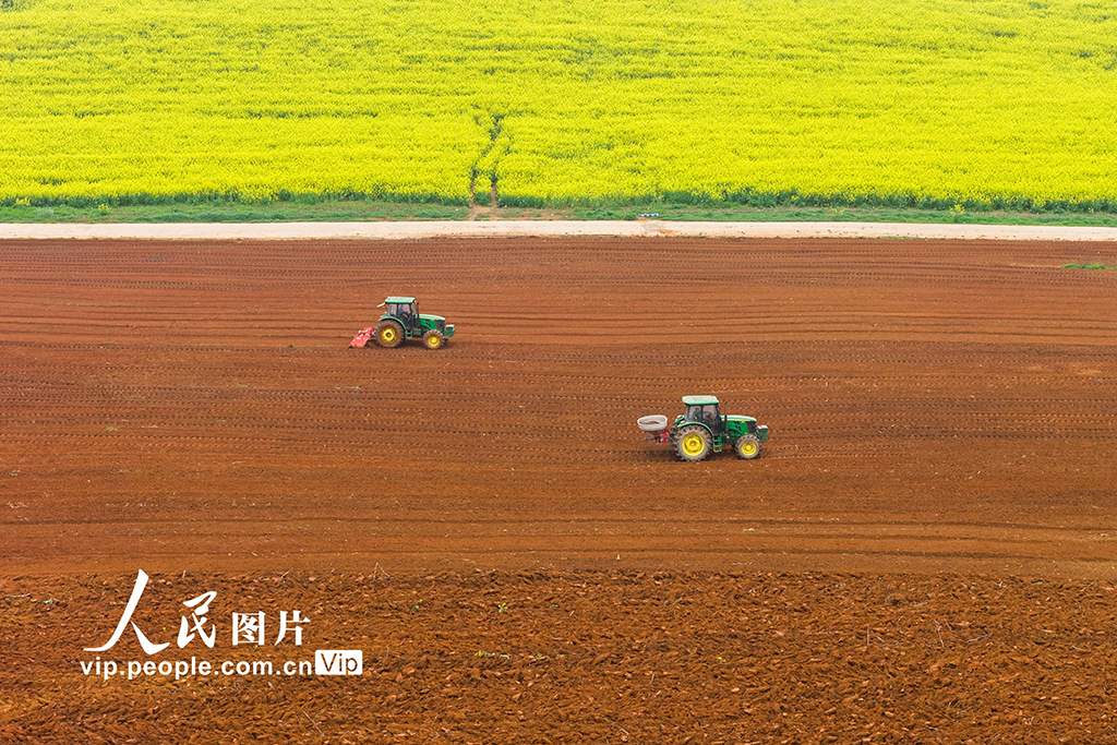 湖南永州：抢抓农时忙春耕【4】