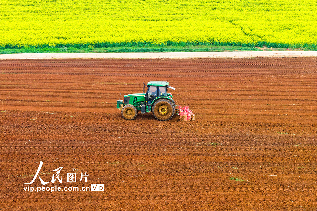 湖南永州：抢抓农时忙春耕【6】