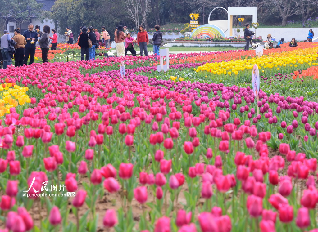 江苏苏州：畅游花海【2】