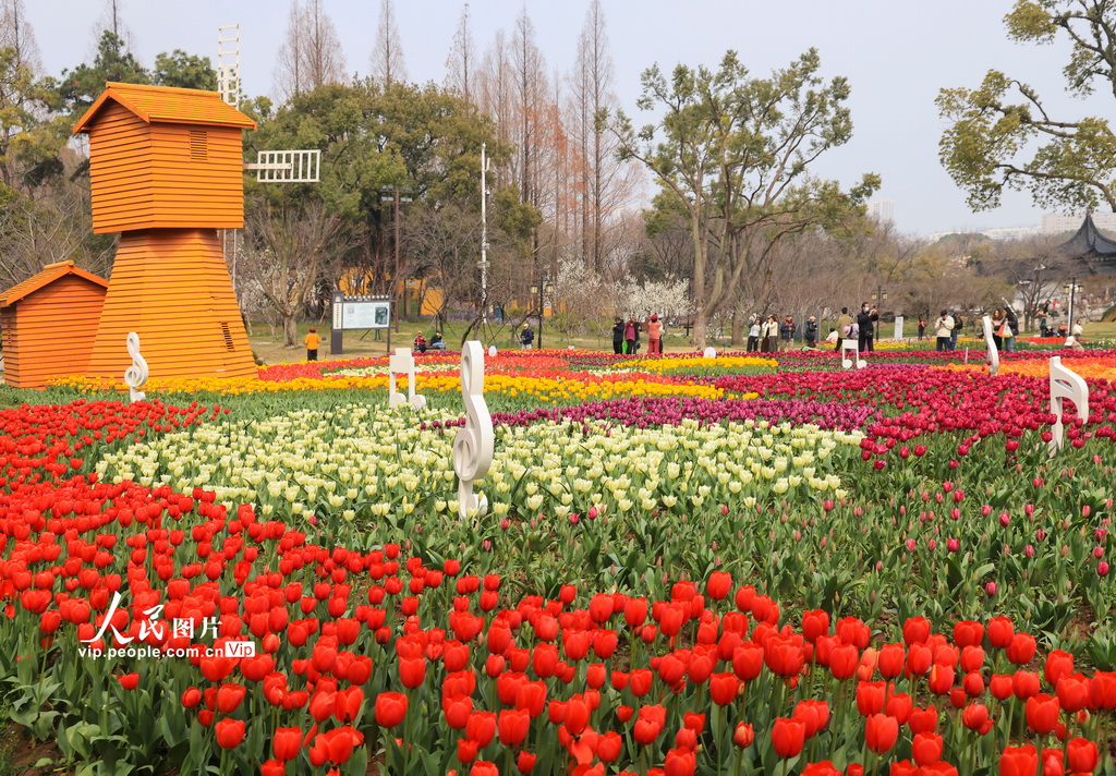 江苏苏州：畅游花海【4】