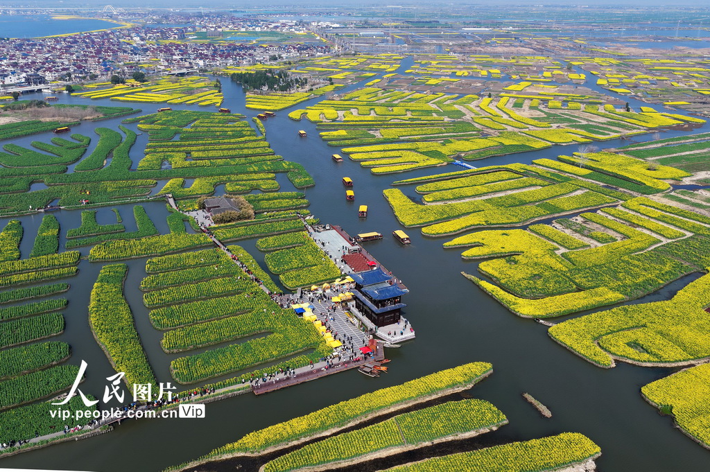 江苏兴化：千垛景区油菜花绽放【4】
