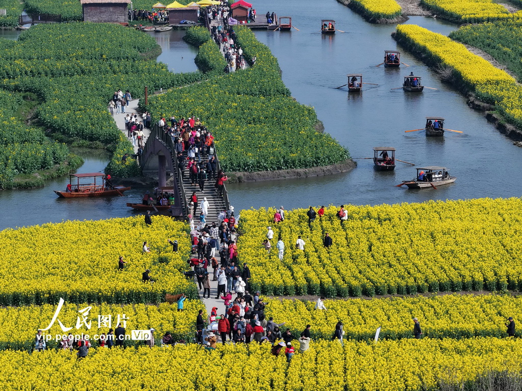 江苏兴化：千垛景区油菜花绽放【6】