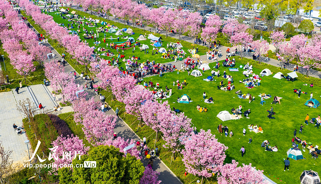 湖北黄石：休闲游玩 乐享春光【2】