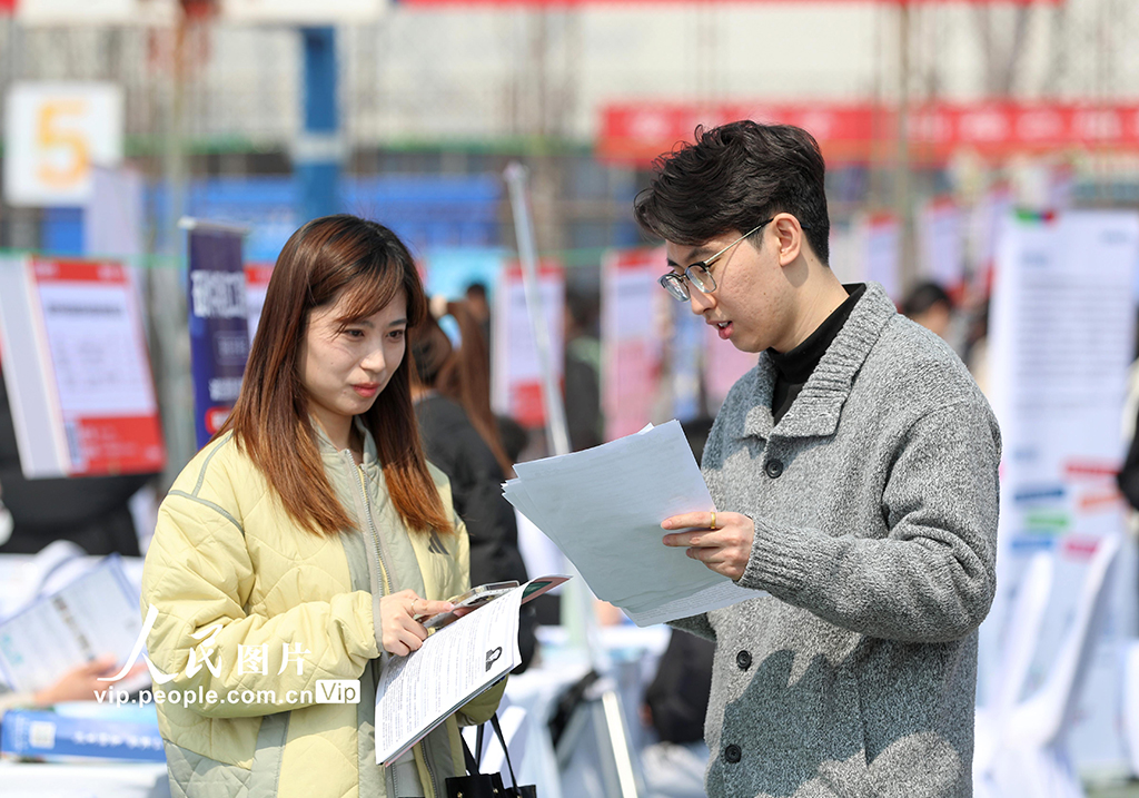 山东青岛：双选会助力大学生就业【2】