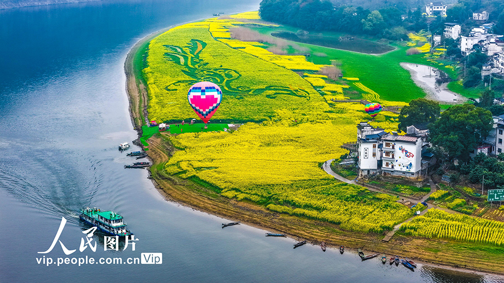 安徽歙县：新安江画廊春光美【5】