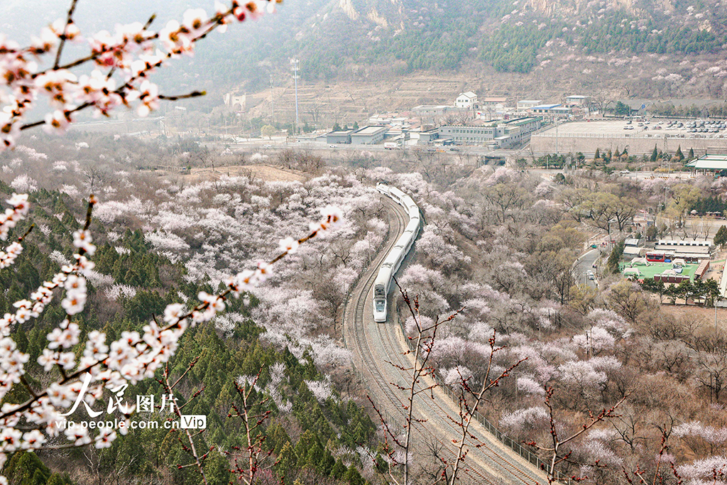 北京:开往春天的列车【2】