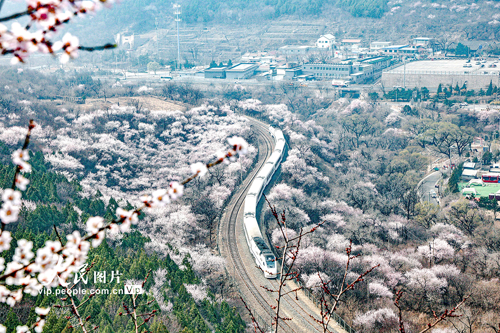 北京:开往春天的列车【3】