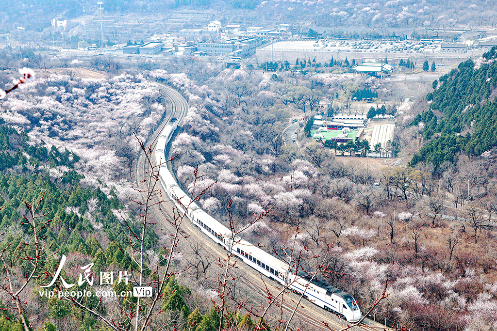 北京:开往春天的列车【4】