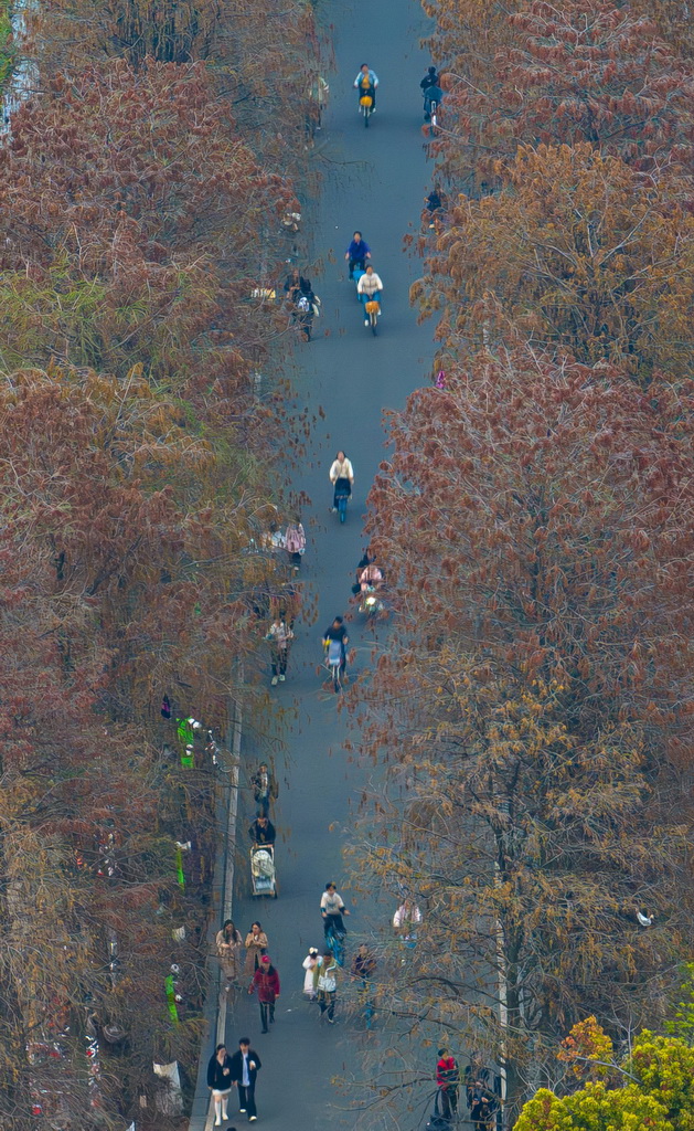 市民在武汉市东湖绿道锻炼(3月22日摄,无人机照片)。新华社记者 肖艺九 摄
