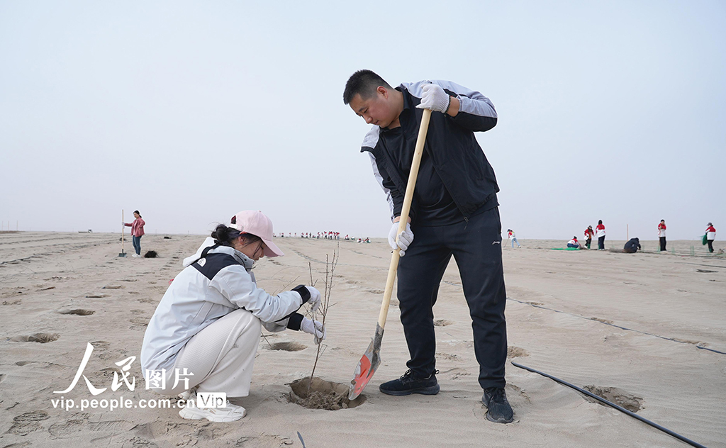 新疆阿瓦提：植树增新绿【5】