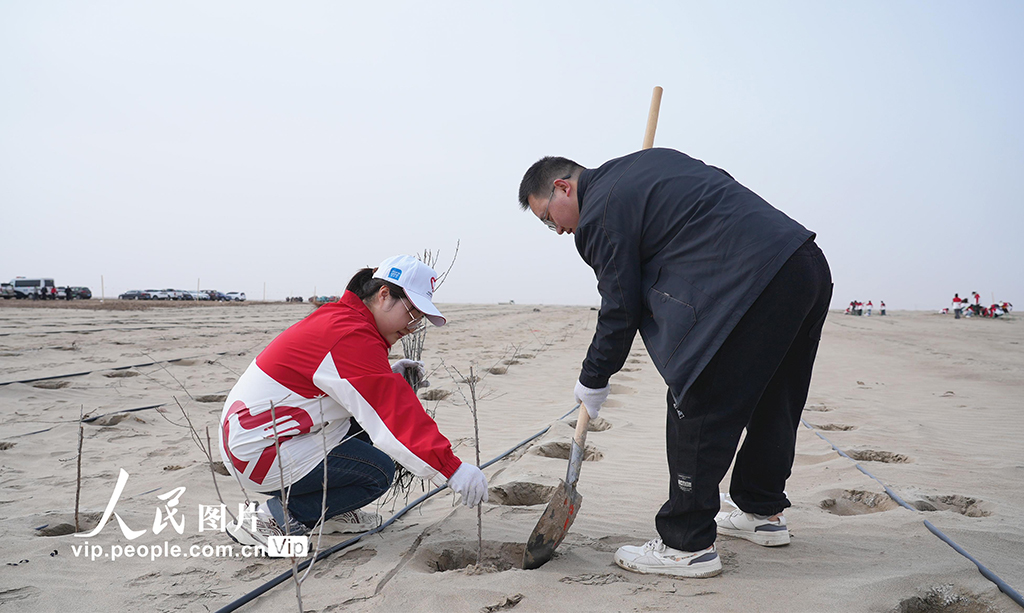 新疆阿瓦提:植树增新绿【6】
