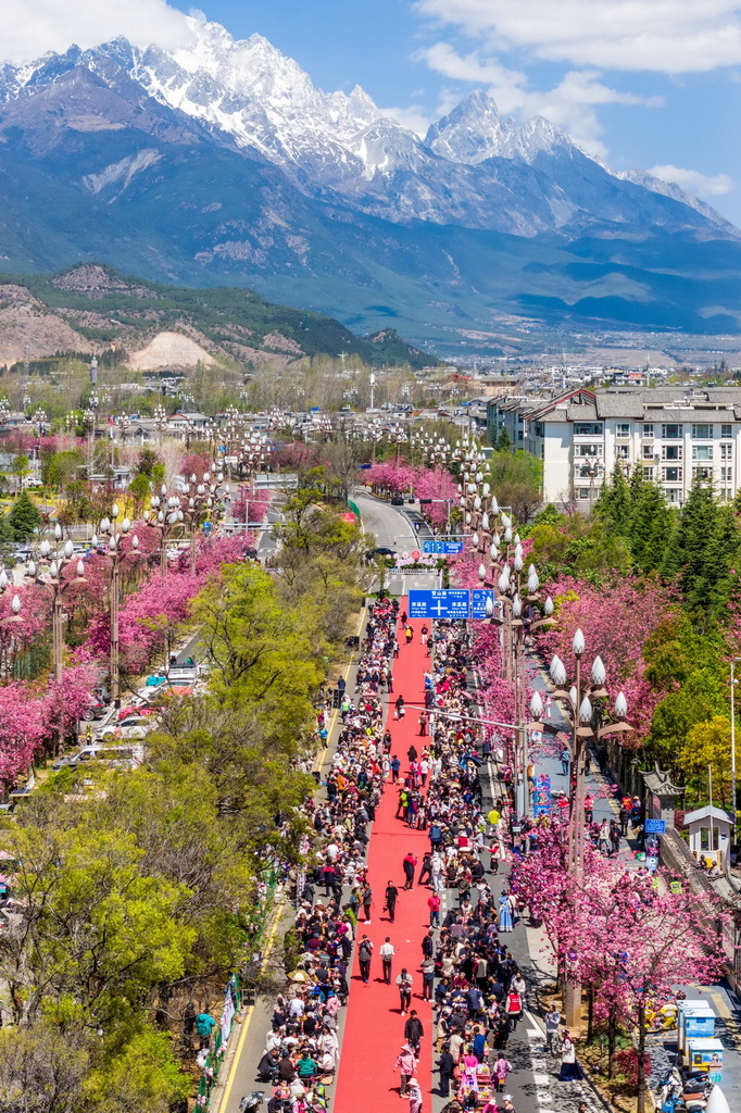 3月26日在丽江市雪山路拍摄的长街宴活动现场(无人机照片)。