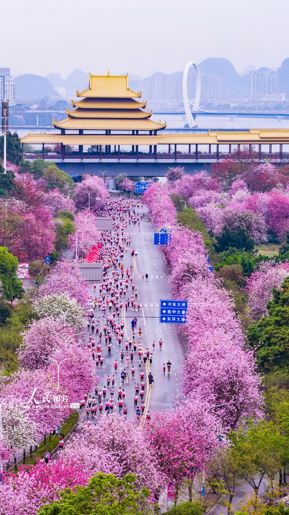 广西柳州：花海赛道上演全民跑【5】