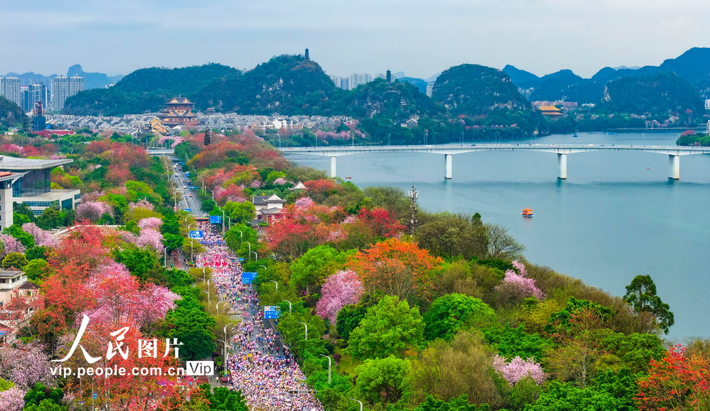 广西柳州：花海赛道上演全民跑【6】