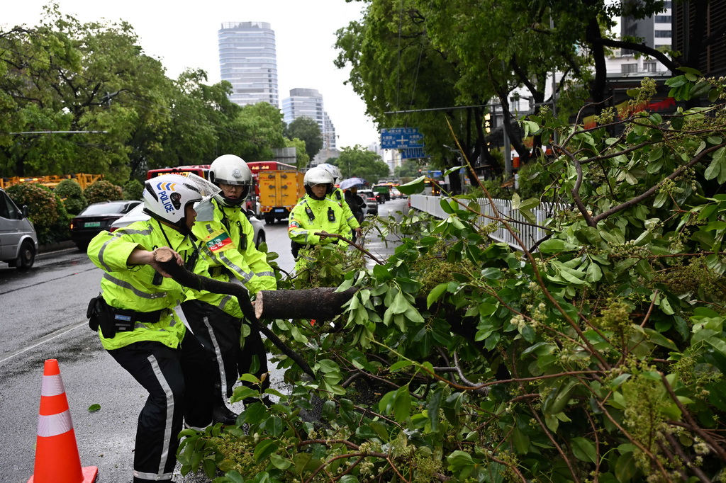 3月30日，在广州市越秀区解放中路，交警清理倒伏树木。
