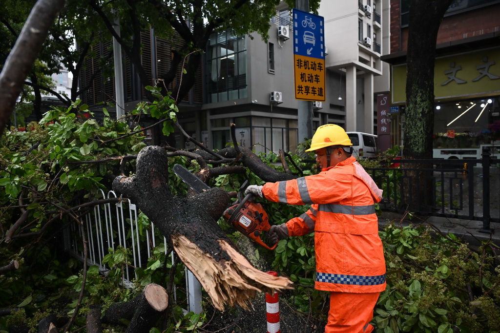 3月30日，在广州市越秀区解放中路，工作人员清理倒伏树木。