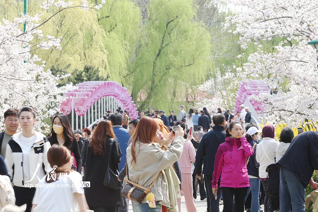 北京：玉渊潭樱花烂漫【9】