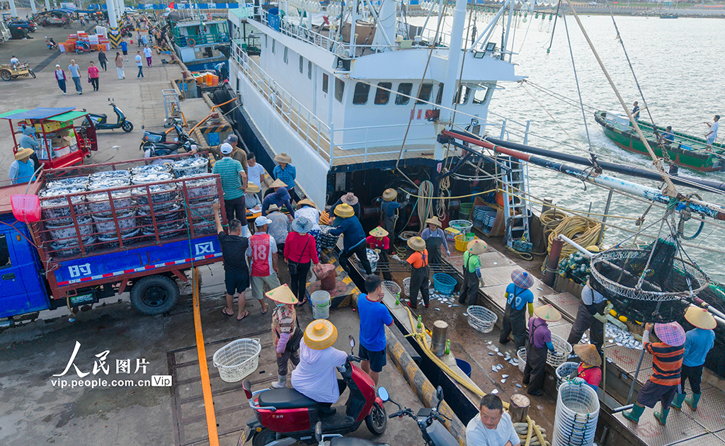 海南万宁：渔船归来鱼满舱【6】