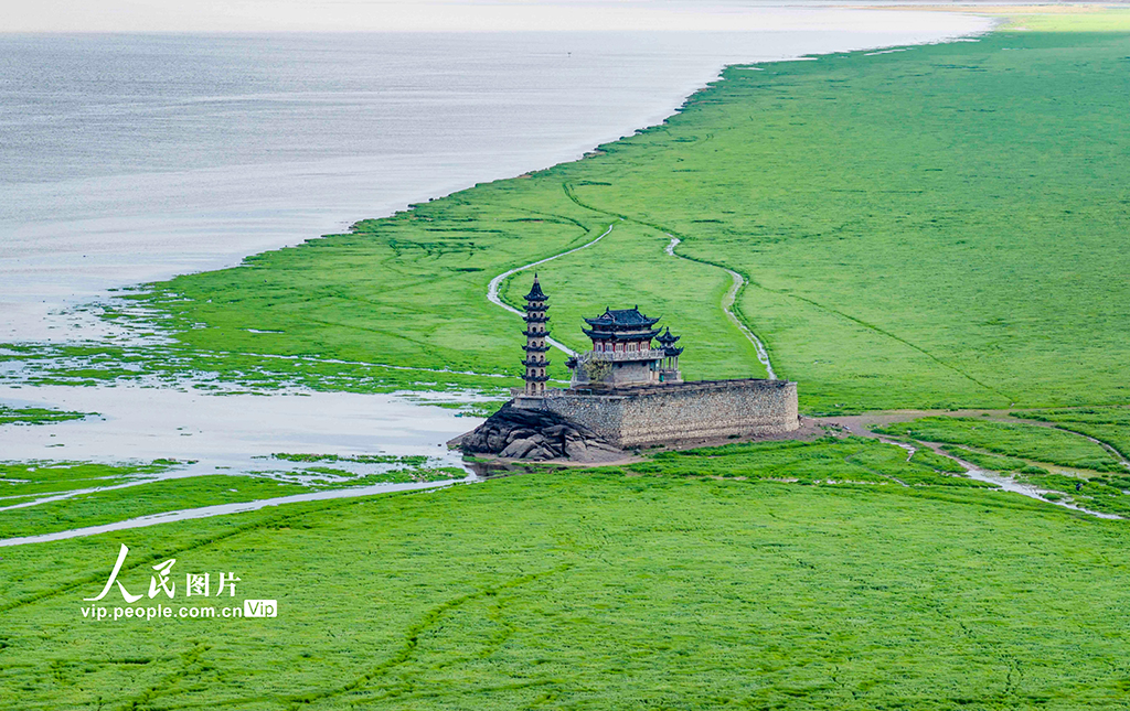 江西庐山:春染湿地如画卷【2】