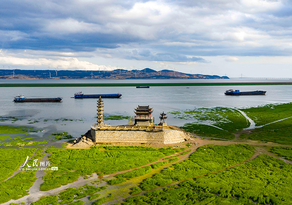 江西庐山：春染湿地如画卷【5】