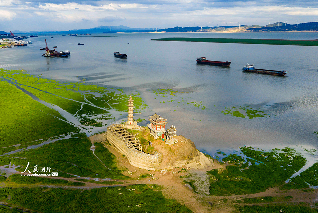 江西庐山:春染湿地如画卷【7】