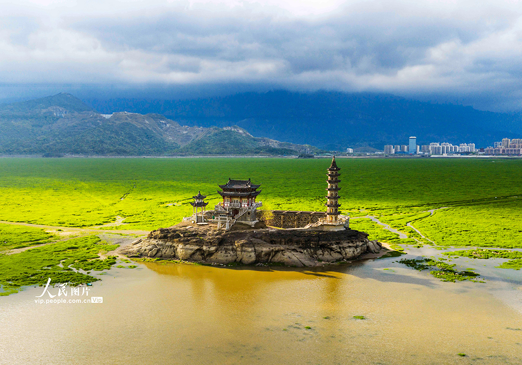 江西庐山:春染湿地如画卷【3】