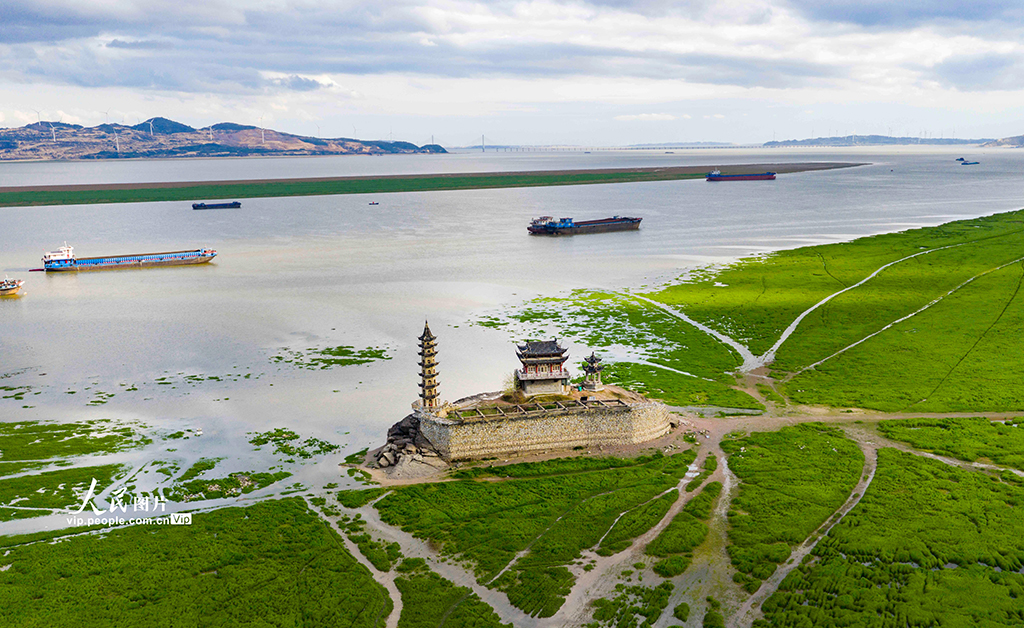 江西庐山：春染湿地如画卷【6】