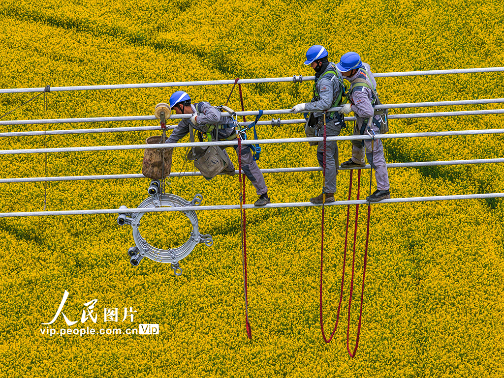 安徽芜湖:“甘电入浙”特高压直流输电工程建设忙【2】