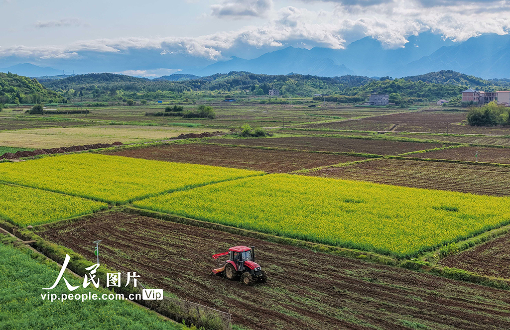 湖南道县：翻耕农田【5】