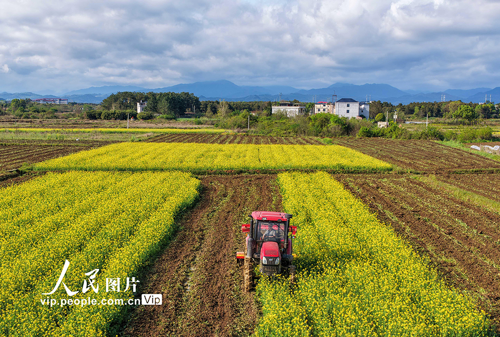 湖南道县：翻耕农田【3】