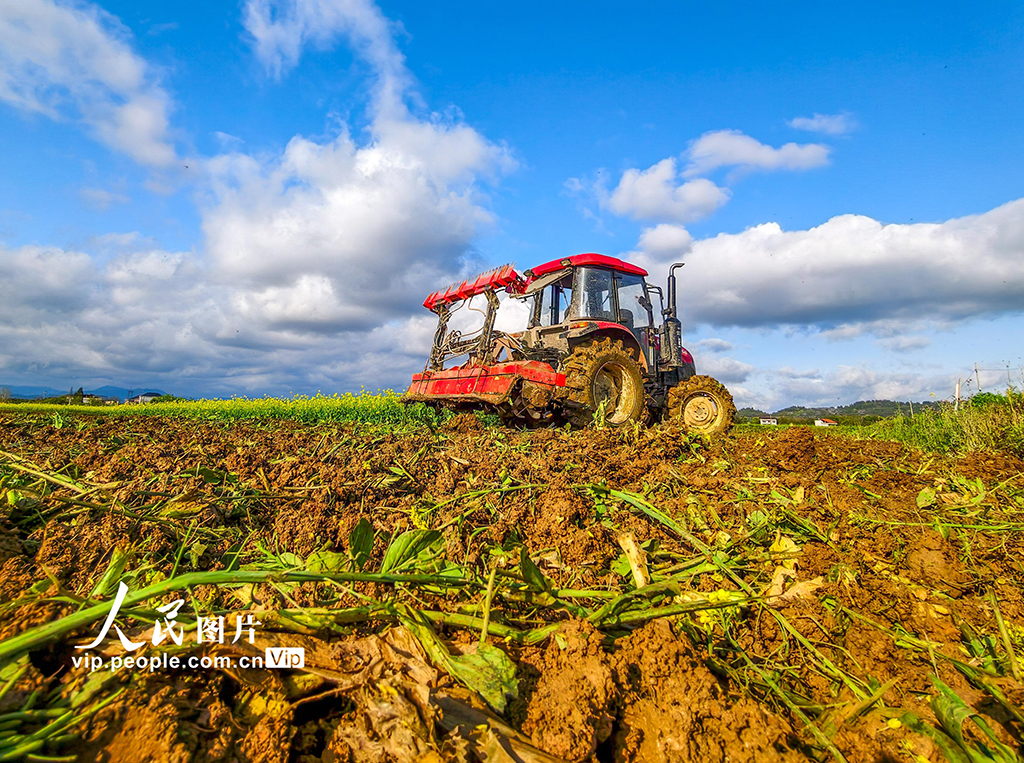 湖南道县：翻耕农田【8】