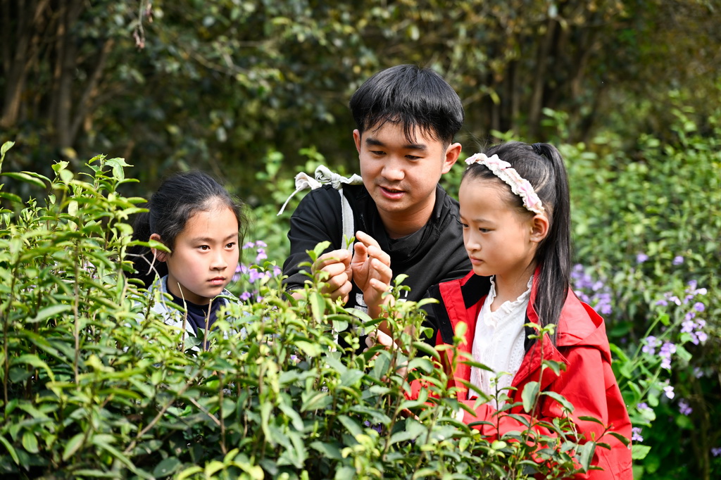 4月1日,在位于江苏省句容市的江苏农博园,工作人员给小朋友讲解采茶知识。