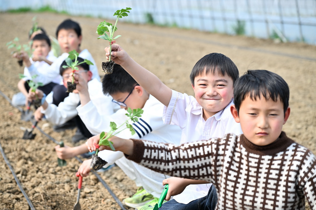 4月1日，小朋友在位于江苏省句容市的江苏农博园展示认养的西瓜苗。