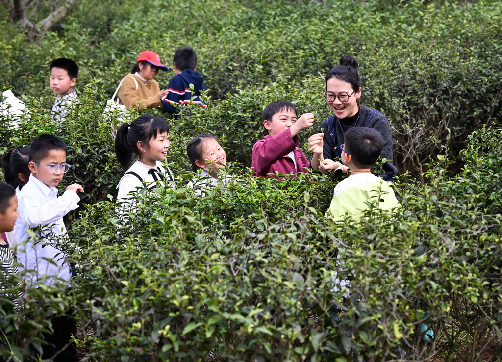 4月1日，在位于江苏省句容市的江苏农博园，工作人员在给小朋友讲解采茶知识。