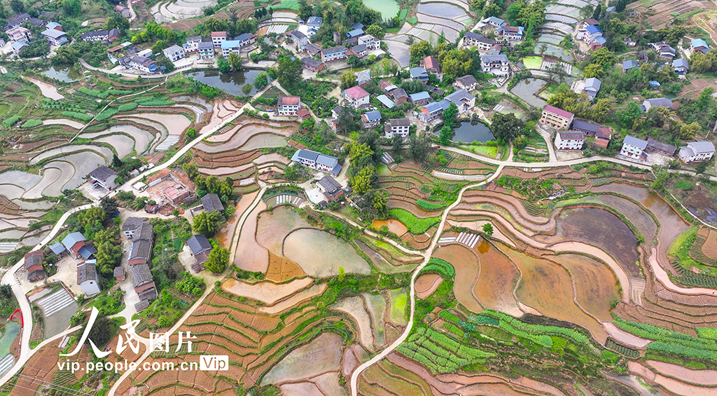 重庆：梯田美如画【2】