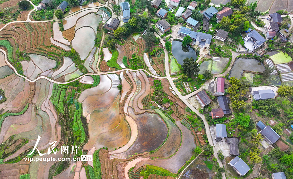 重庆：梯田美如画【3】