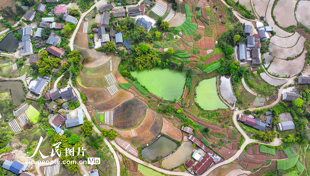 重庆：梯田美如画【4】